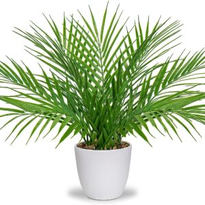 Künstliche Palmenpflanze in weißem Topf mit realistischer Berührung